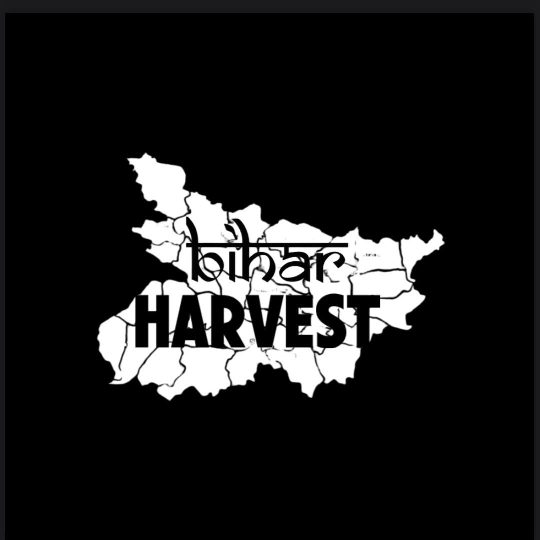 Bihar Harvest Makhana